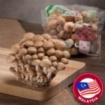 Hokto Bunashimeiji Mushroom