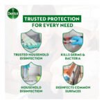 Dettol Antiseptic Germicide Liquid - Image 3