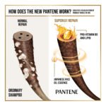 Pantene Shampoo - Silky Smooth Care - Image 3