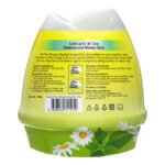 FairPrice Scented Gel - Mosquito Repellent - Image 2